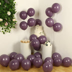 50 Pack Matte Pastel Violet Amethyst Biodegradable Balloons 12", Round Eco - friendly Thick Latex Party Balloons - Bell Racket Store