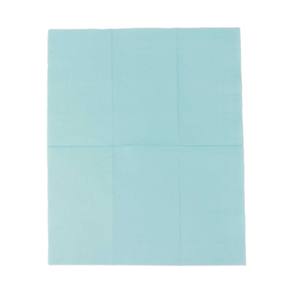 50 - Pack Paper Napkins Baby Blue - Soft Disposable 2 - Ply Dinner Napkins for Weddings - Bell Racket Store