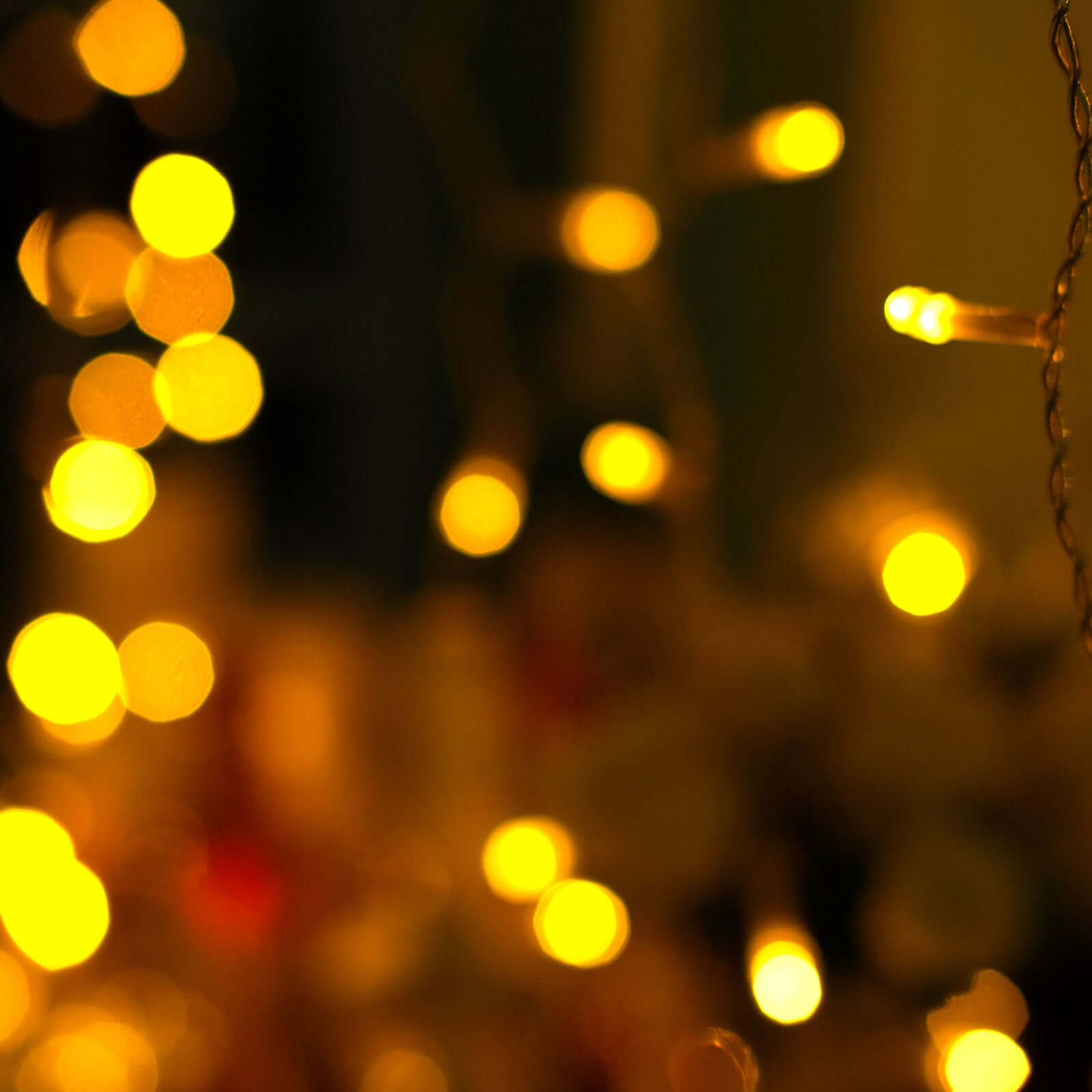 5ftx8ft Warm White 192 LED Icicle Curtain Fairy String Lights with 8 Modes - Bell Racket Store