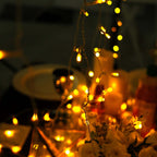 5ftx8ft Warm White 192 LED Icicle Curtain Fairy String Lights with 8 Modes - Bell Racket Store