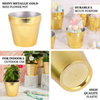 6 Pack 3" Gold Plastic Party Favor Bucket - Containers, Mini Succulent Nursery Planters, Flower Pot Crafts - Bell Racket Store