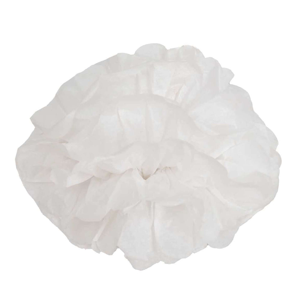 6 Pack 6" White Tissue Paper Pom Poms Flower Balls, Ceiling Wall Hanging Decorations