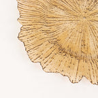 6 - Pack Acrylic Plastic Round Charger Plates 13" in Amber Gold with Reef Design, Dinner Charger Tableware - Bell Racket Store