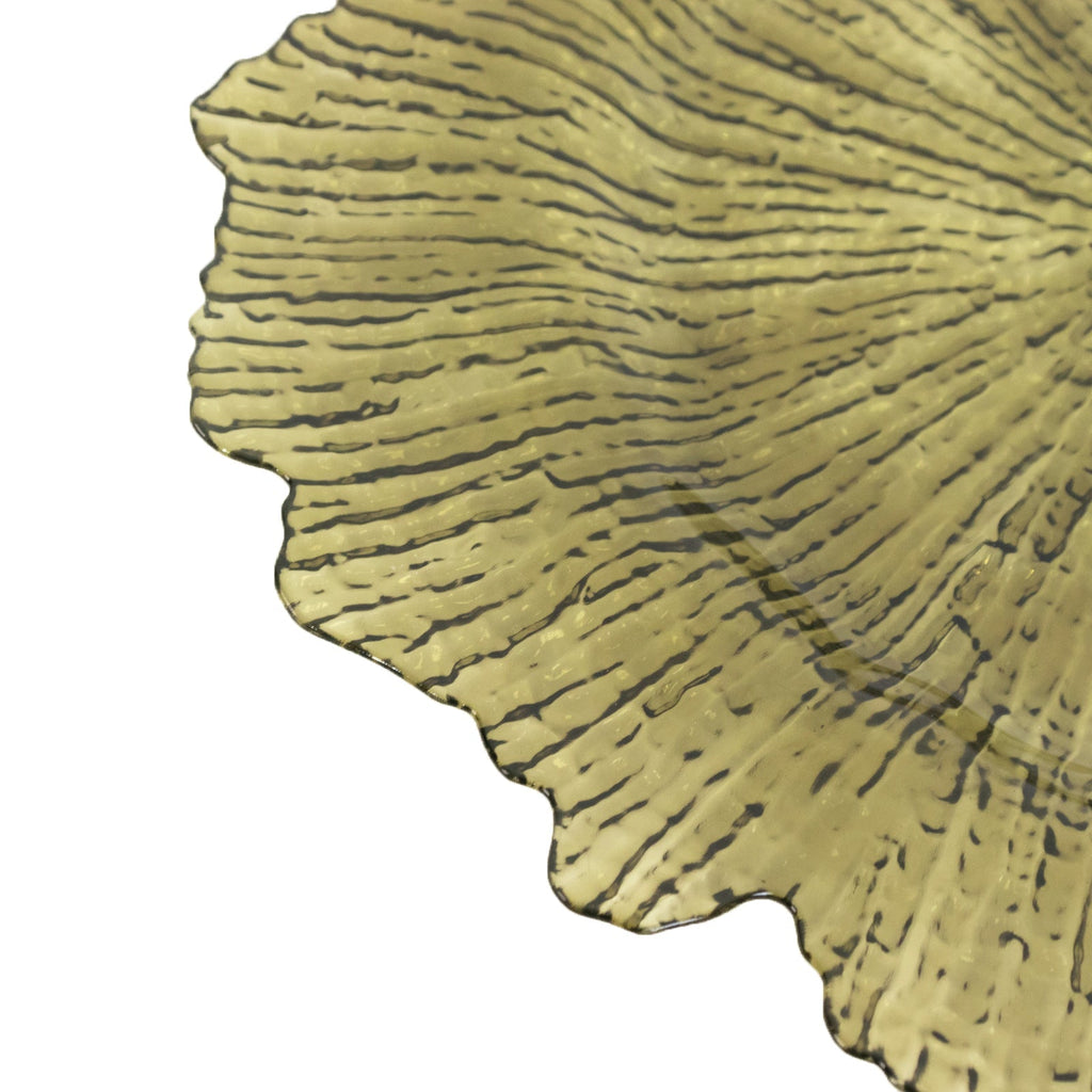 6 - Pack Acrylic Plastic Round Charger Plates 13" in Transparent Dusty Sage Green with Reef Design, Dinner Charger Tableware - Bell Racket Store