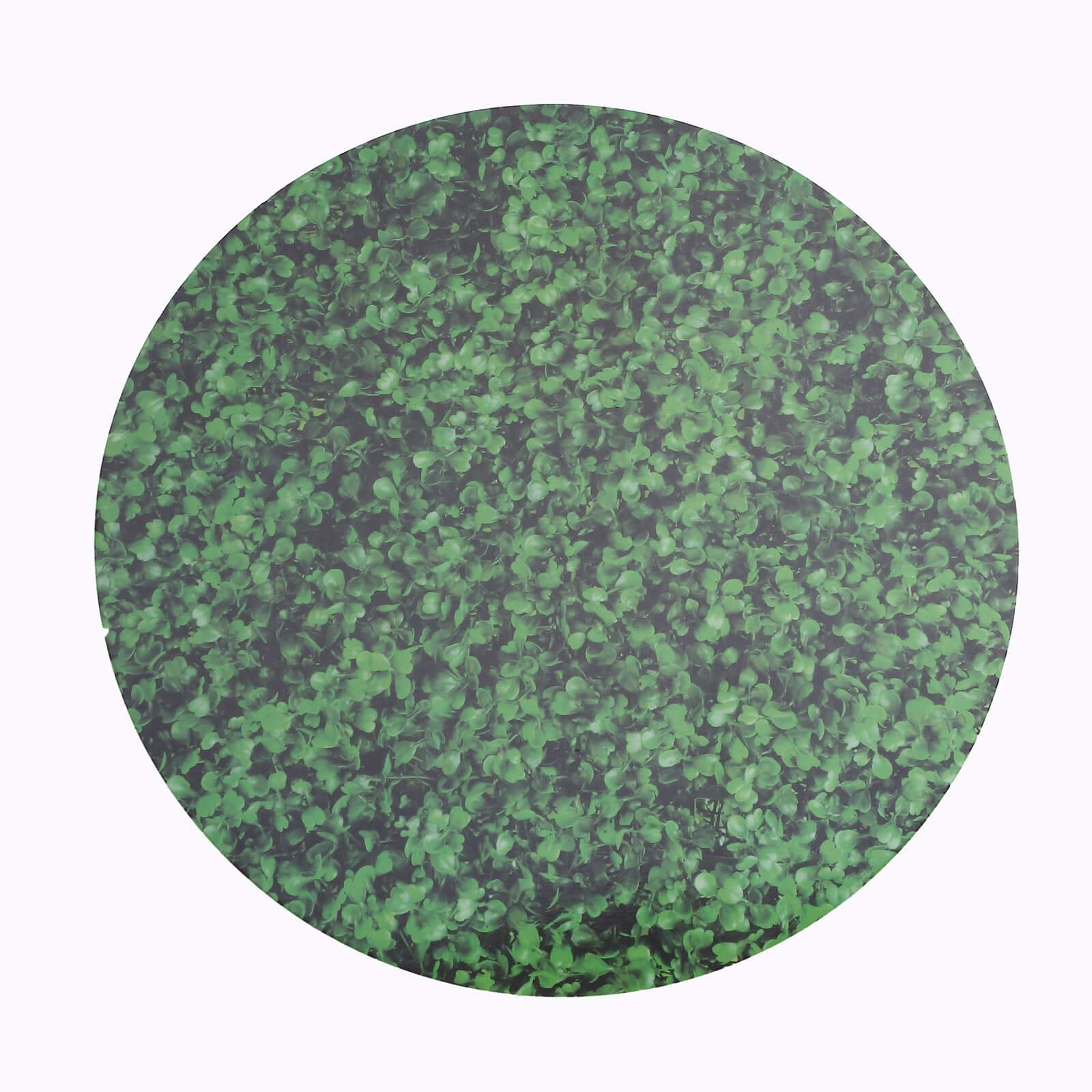 6 - Pack Disposable Table Placemats in Green Boxwood Leaf Print - 700GSM Cardboard Placemats for Forest & Garden Theme Party Decor 13" - Bell Racket Store