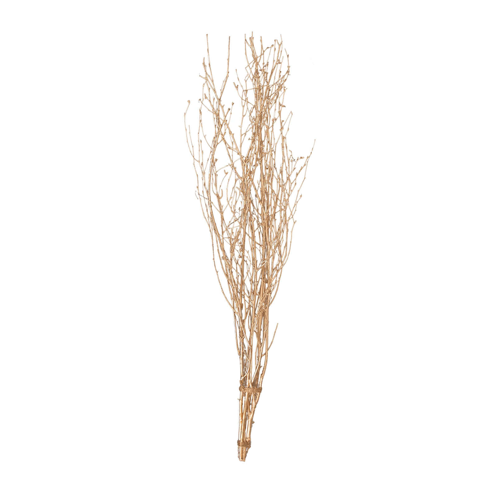 6 - Pack Natural Birch Tree Branches 46" Metallic Gold - Versatile Extra Long Decorative Dried Willow Twigs Sticks for Vase Centerpiece Wedding Decor - Bell Racket Store