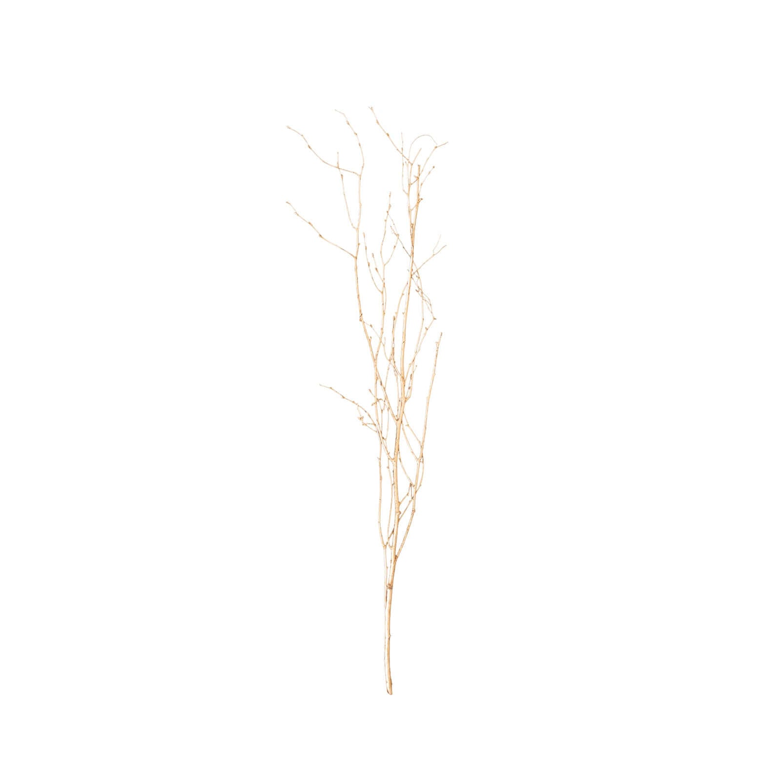 6 - Pack Natural Birch Tree Branches 46" Metallic Gold - Versatile Extra Long Decorative Dried Willow Twigs Sticks for Vase Centerpiece Wedding Decor - Bell Racket Store