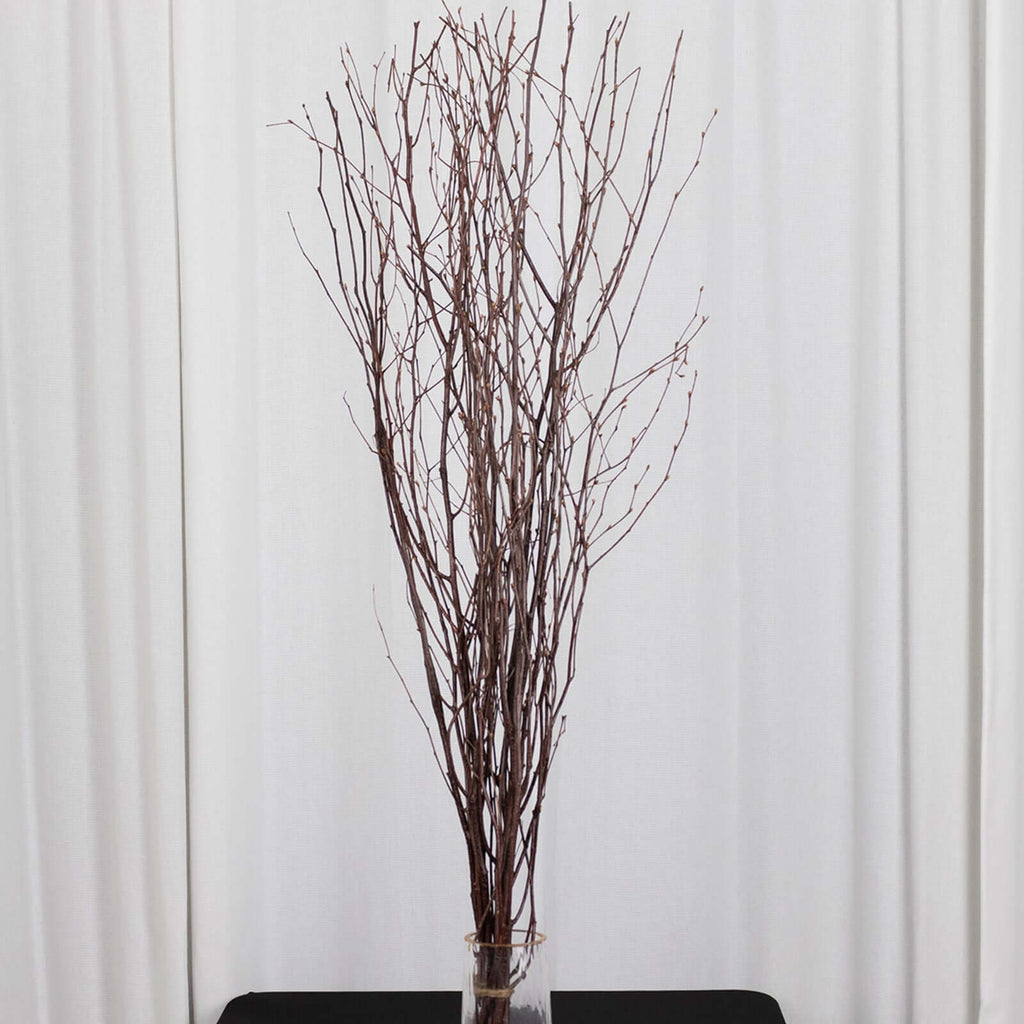 6 - Pack Natural Birch Tree Branches 46" Natural - Versatile Extra Long Decorative Dried Willow Twigs Sticks for Vase Centerpiece Wedding Decor - Bell Racket Store