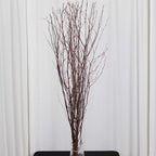 6 - Pack Natural Birch Tree Branches 46" Natural - Versatile Extra Long Decorative Dried Willow Twigs Sticks for Vase Centerpiece Wedding Decor - Bell Racket Store