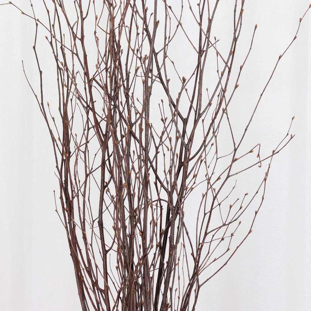 6 - Pack Natural Birch Tree Branches 46" Natural - Versatile Extra Long Decorative Dried Willow Twigs Sticks for Vase Centerpiece Wedding Decor - Bell Racket Store