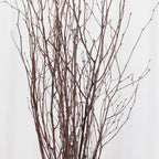 6 - Pack Natural Birch Tree Branches 46" Natural - Versatile Extra Long Decorative Dried Willow Twigs Sticks for Vase Centerpiece Wedding Decor - Bell Racket Store