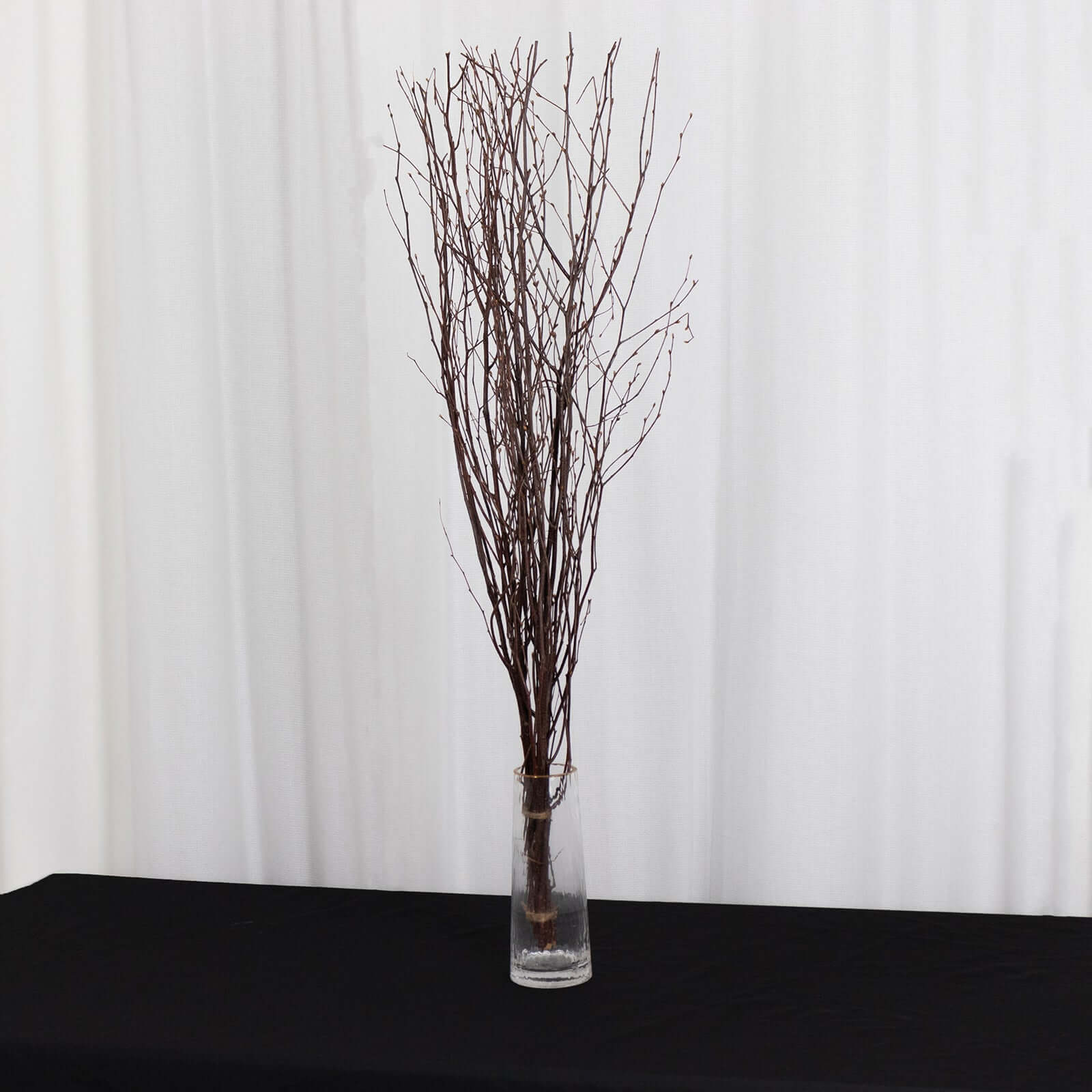 6 - Pack Natural Birch Tree Branches 46" Natural - Versatile Extra Long Decorative Dried Willow Twigs Sticks for Vase Centerpiece Wedding Decor - Bell Racket Store