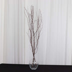 6 - Pack Natural Birch Tree Branches 46" Natural - Versatile Extra Long Decorative Dried Willow Twigs Sticks for Vase Centerpiece Wedding Decor - Bell Racket Store