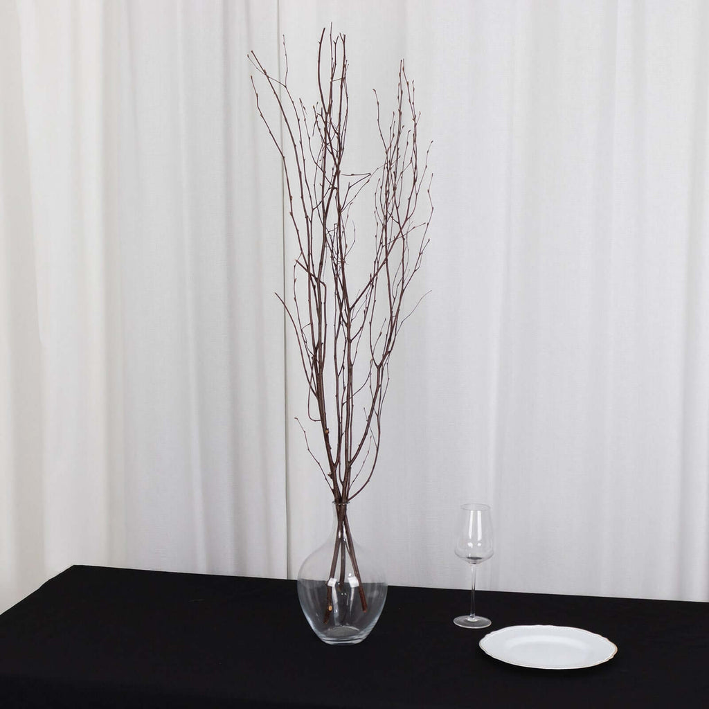 6 - Pack Natural Birch Tree Branches 46" Natural - Versatile Extra Long Decorative Dried Willow Twigs Sticks for Vase Centerpiece Wedding Decor - Bell Racket Store