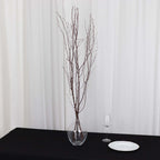 6 - Pack Natural Birch Tree Branches 46" Natural - Versatile Extra Long Decorative Dried Willow Twigs Sticks for Vase Centerpiece Wedding Decor - Bell Racket Store