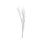6 - Pack Natural Birch Tree Branches 46" Natural - Versatile Extra Long Decorative Dried Willow Twigs Sticks for Vase Centerpiece Wedding Decor - Bell Racket Store