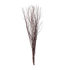 6 - Pack Natural Birch Tree Branches 46" Natural - Versatile Extra Long Decorative Dried Willow Twigs Sticks for Vase Centerpiece Wedding Decor - Bell Racket Store