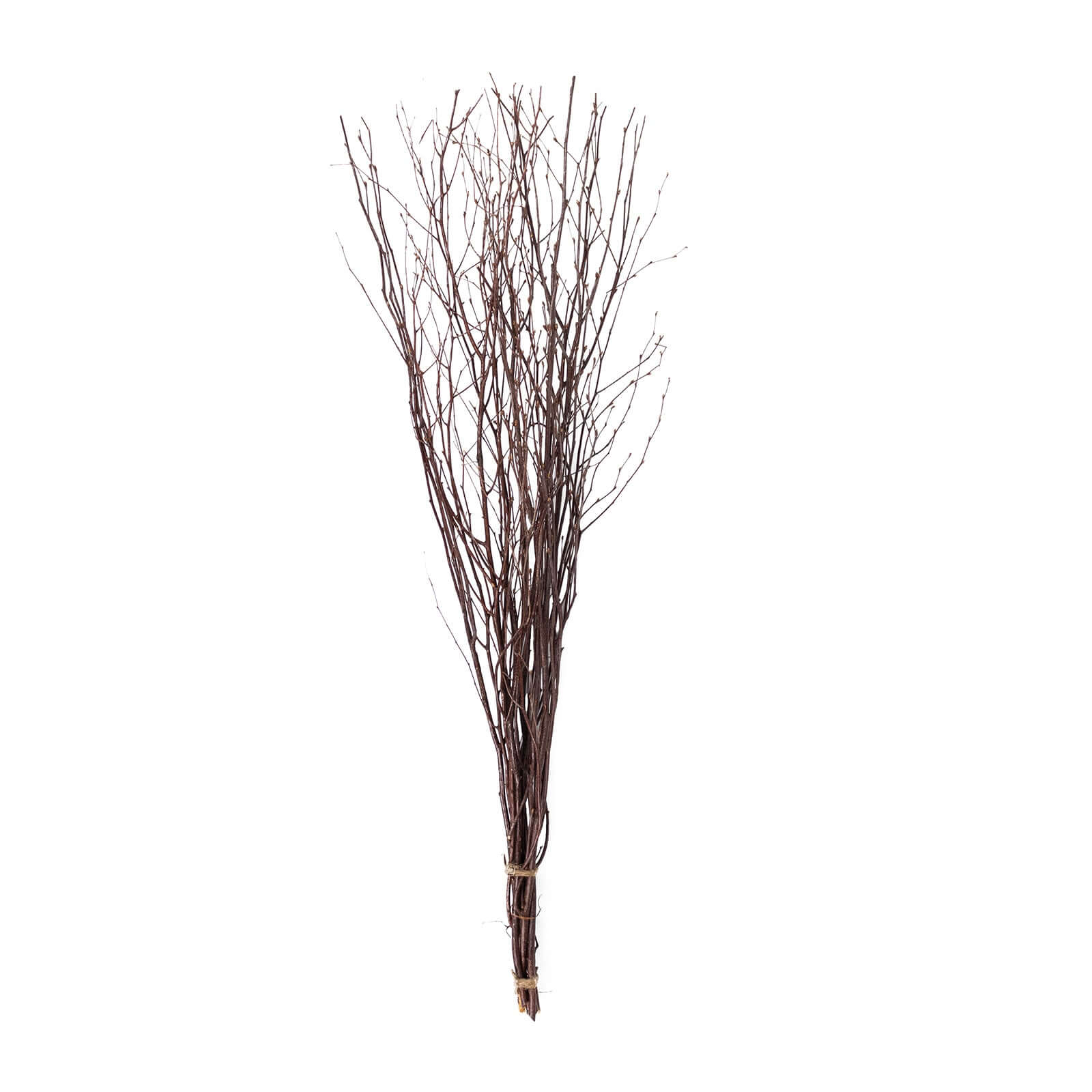 6 - Pack Natural Birch Tree Branches 46" Natural - Versatile Extra Long Decorative Dried Willow Twigs Sticks for Vase Centerpiece Wedding Decor - Bell Racket Store
