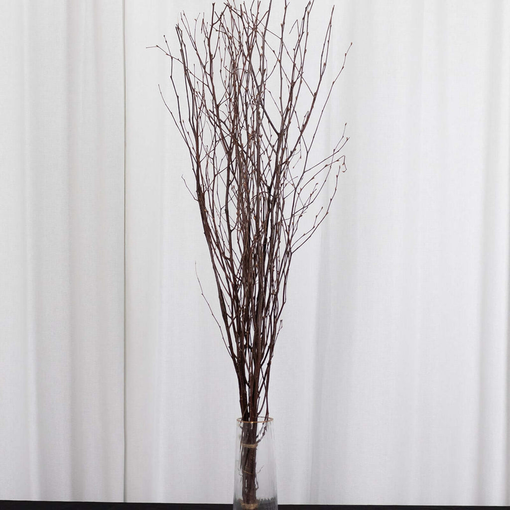 6 - Pack Natural Birch Tree Branches 46" Natural - Versatile Extra Long Decorative Dried Willow Twigs Sticks for Vase Centerpiece Wedding Decor - Bell Racket Store