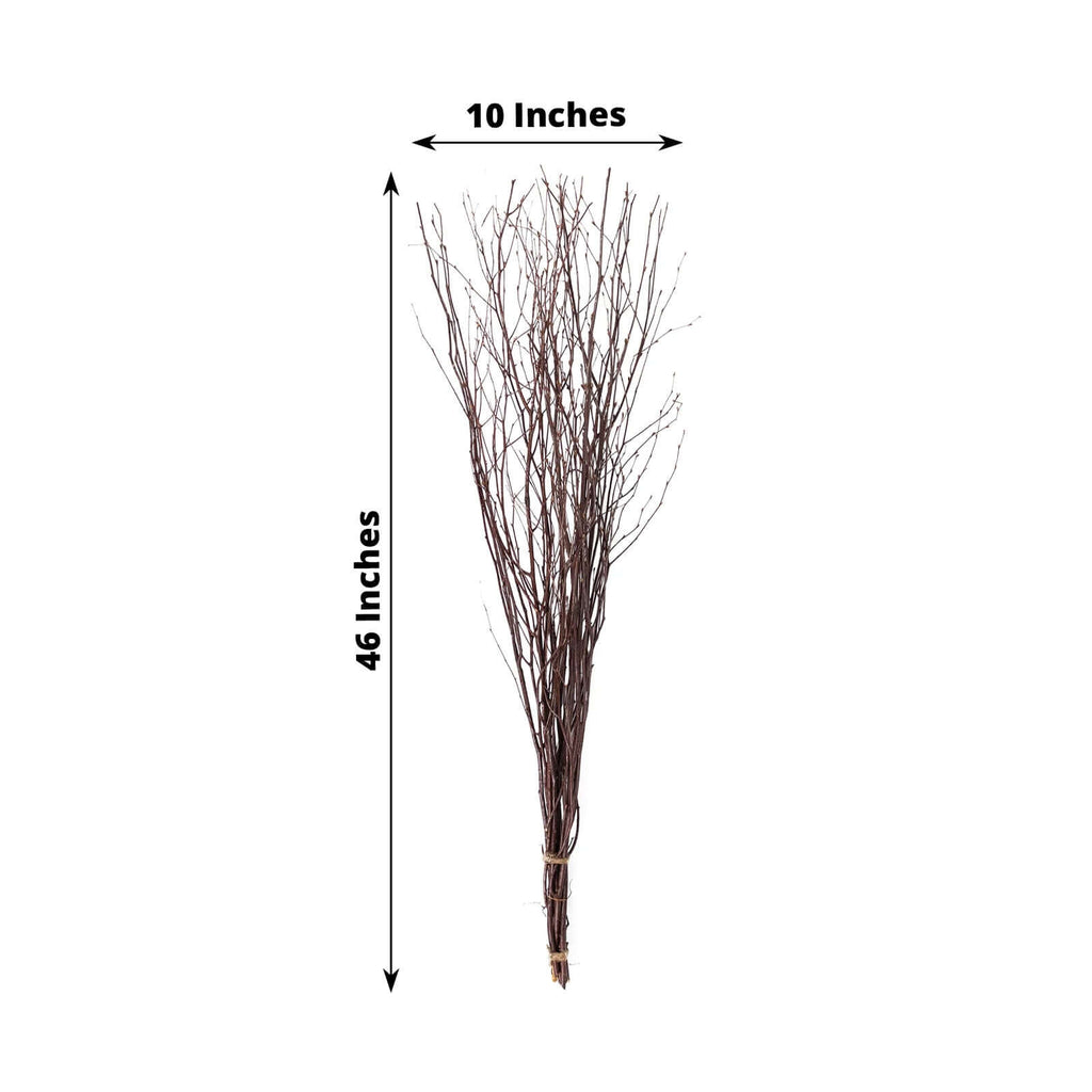 6 - Pack Natural Birch Tree Branches 46" Natural - Versatile Extra Long Decorative Dried Willow Twigs Sticks for Vase Centerpiece Wedding Decor - Bell Racket Store