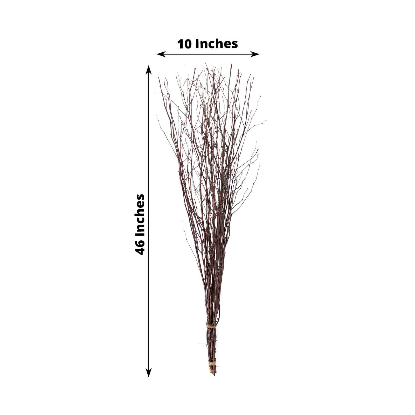 6 - Pack Natural Birch Tree Branches 46" Natural - Versatile Extra Long Decorative Dried Willow Twigs Sticks for Vase Centerpiece Wedding Decor - Bell Racket Store