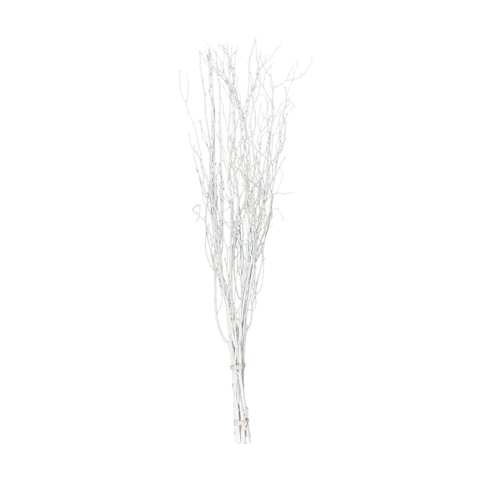 6 - Pack Natural Birch Tree Branches 46" White - Versatile Extra Long Decorative Dried Willow Twigs Sticks for Vase Centerpiece Wedding Decor - Bell Racket Store
