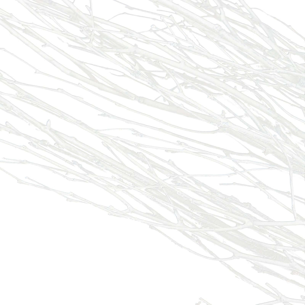 6 - Pack Natural Birch Tree Branches 46" White - Versatile Extra Long Decorative Dried Willow Twigs Sticks for Vase Centerpiece Wedding Decor - Bell Racket Store