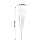 6 - Pack Natural Birch Tree Branches 46" White - Versatile Extra Long Decorative Dried Willow Twigs Sticks for Vase Centerpiece Wedding Decor - Bell Racket Store