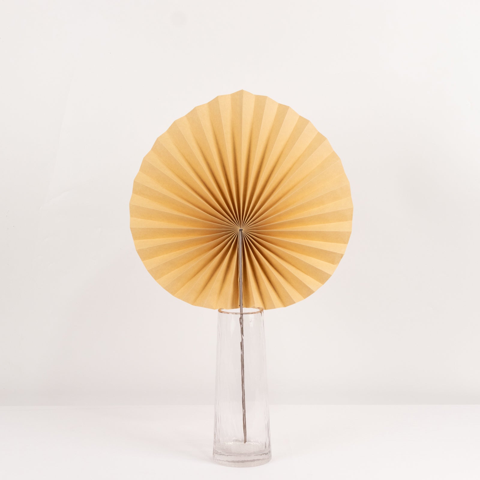 6 Pack Natural Dried Tropical Palm Leaves Paper Fans, 25" Handheld Folding Fans Boho Farmhouse Wall Table Decor - Bell Racket Store