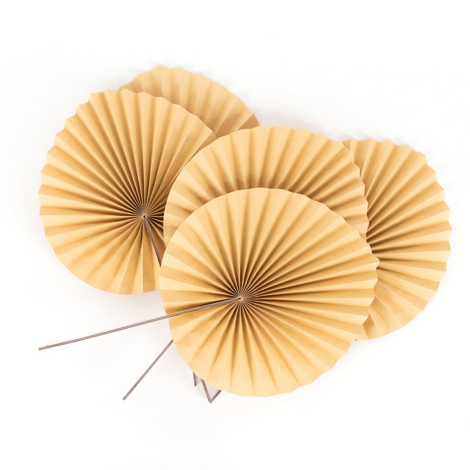 6 Pack Natural Dried Tropical Palm Leaves Paper Fans, 25" Handheld Folding Fans Boho Farmhouse Wall Table Decor - Bell Racket Store