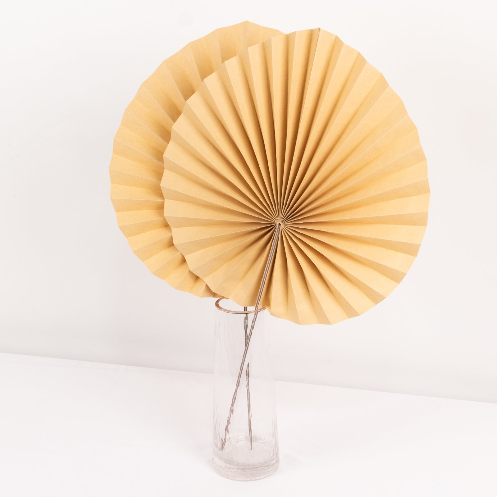 6 Pack Natural Dried Tropical Palm Leaves Paper Fans, 25" Handheld Folding Fans Boho Farmhouse Wall Table Decor - Bell Racket Store