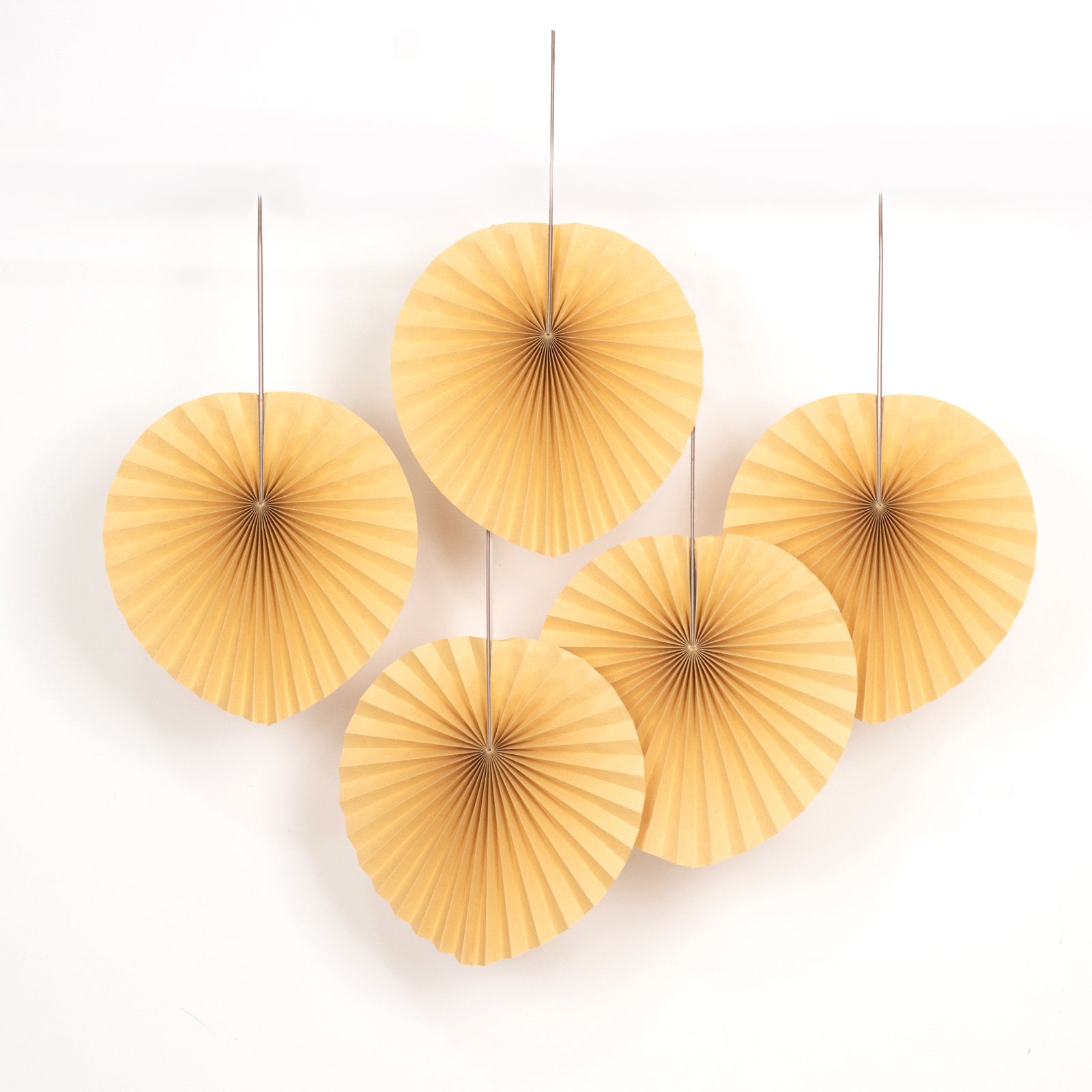 6 Pack Natural Dried Tropical Palm Leaves Paper Fans, 25" Handheld Folding Fans Boho Farmhouse Wall Table Decor - Bell Racket Store