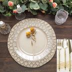 6 - Pack Round Charger Plates 13" in Taupe with Hammered Rim, Matte Finish Modern Dinner Charger Tableware - Bell Racket Store