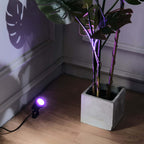 6W Purple LED Backdrop Uplight, Outdoor Waterproof Landscape Spotlight - Bell Racket Store