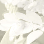 8ftx8ft Ivory 3D Leaf Petal Taffeta Event Curtain Drapes, Backdrop Event Panel With Rod Pocket - Bell Racket Store