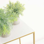 2-Pack Acrylic Plexiglass Sheets Top Plates White Square - Protective Film Coating 11" 3mm Thick