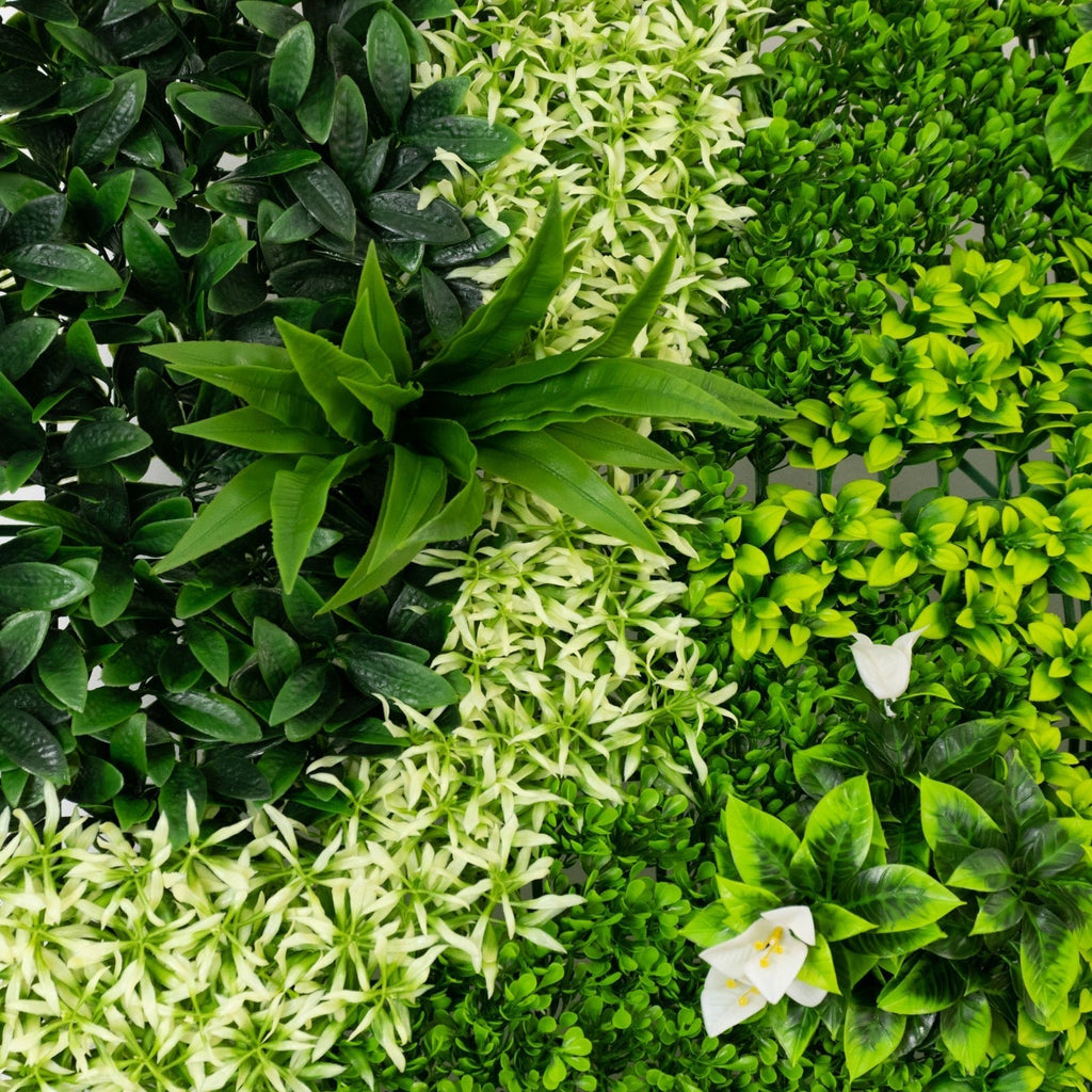 Artificial Boxwood Greenery Wall Panels, 40"Ã—40" Grass Panels with Variegated Leaves and White Flowers, UV - Protected Backdrop for Outdoor Decor â€“ 2 Panels, Covers 22 Sq. Ft. - Bell Racket Store