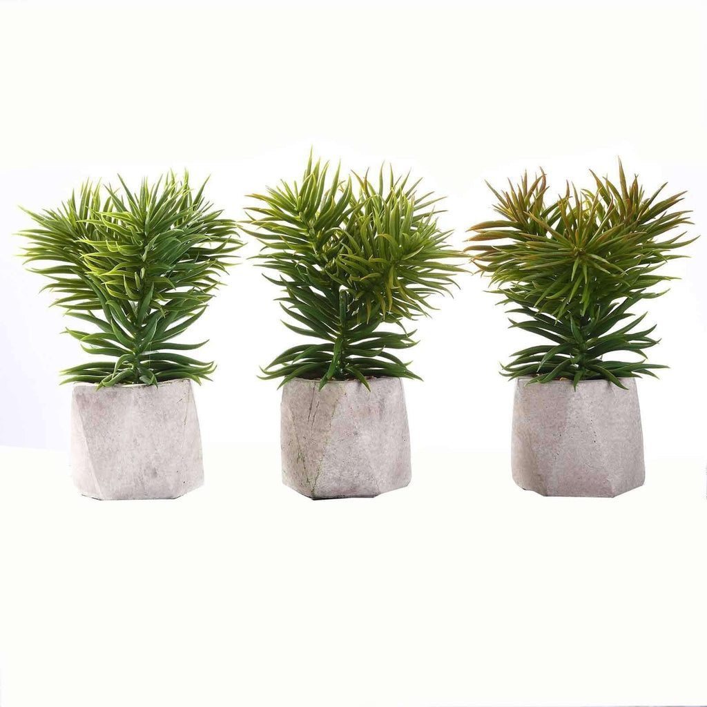 3-Pack Crassula Artificial Succulents in Geometric Ceramic Pot - Lifelike Decorative Faux Plants for Home Office & Event Design 8"