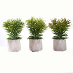 3-Pack Crassula Artificial Succulents in Geometric Ceramic Pot - Lifelike Decorative Faux Plants for Home Office & Event Design 8"
