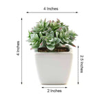3-Pack Echeveria Artificial Succulents in Ceramic Pot Green - Lifelike Decorative Faux Plants for Home Office & Event Design 4"