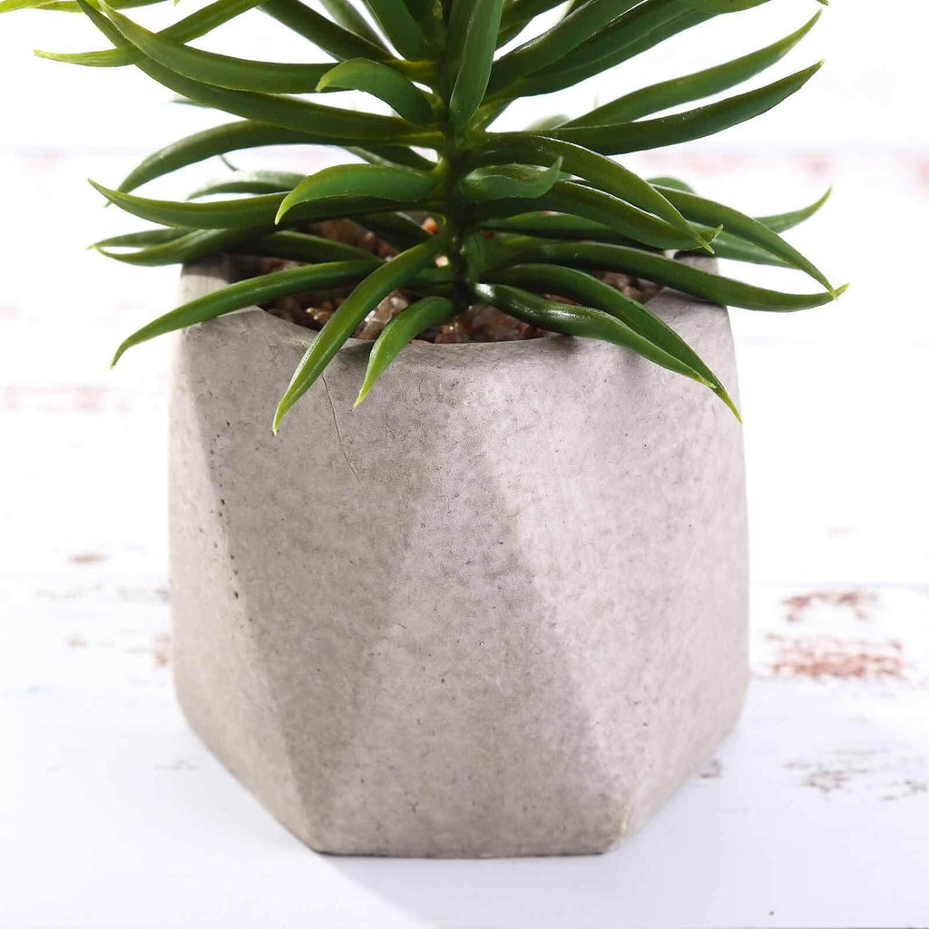 3-Pack Crassula Artificial Succulents in Geometric Ceramic Pot - Lifelike Decorative Faux Plants for Home Office & Event Design 8"