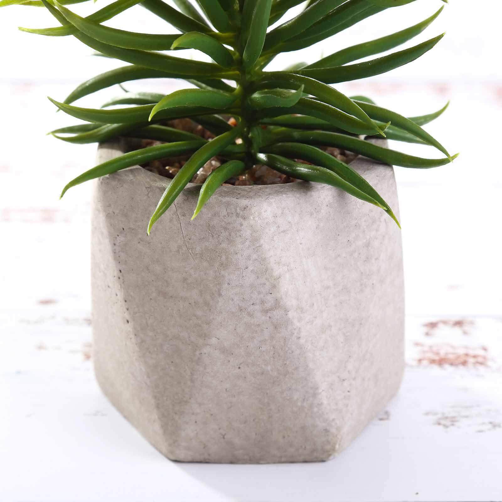 3-Pack Crassula Artificial Succulents in Geometric Ceramic Pot - Lifelike Decorative Faux Plants for Home Office & Event Design 8"