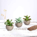 3-Pack Aloe Artificial Succulents in Ceramic Pot - Lifelike Decorative Faux Plants for Home Office & Event Design 5"