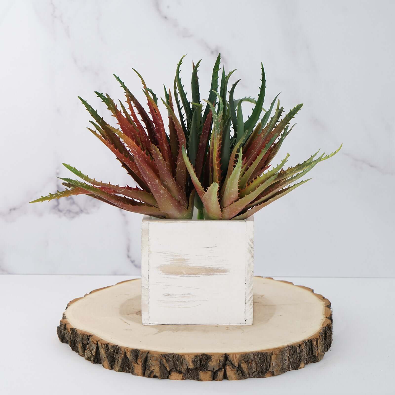 3 Pack 12" Artificial PVC Aloe Cameronii Decorative Succulent Plants