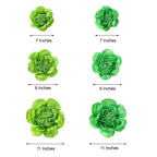 Set of 6 Mint Apple Green Peony 3D Paper Flowers Wall Decor - 7",9",11"