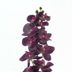 2 Stems 40" Tall Eggplant Artificial Silk Orchid Flower Bouquets