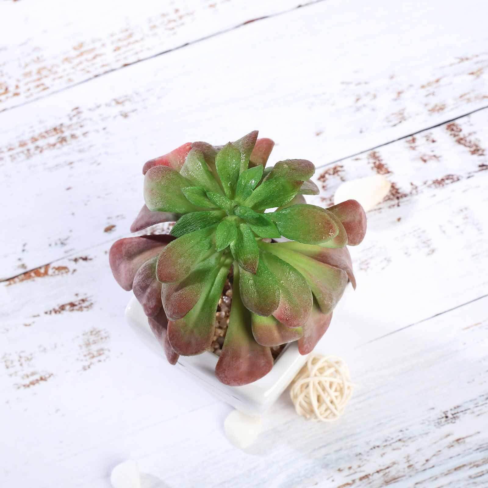 3-Pack Minibelle, Elegans & Grassneri Artificial Succulents in Ceramic Pot - Lifelike Decorative Faux Plants for Home Office & Event Design 5"