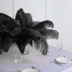 12 Pack Black Natural Plume Ostrich Feathers Centerpiece Filler - 24"-26"
