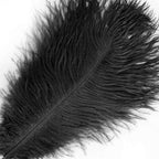 12 Pack 13"-15" Black Natural Plume Real Ostrich Feathers, DIY Centerpiece Fillers