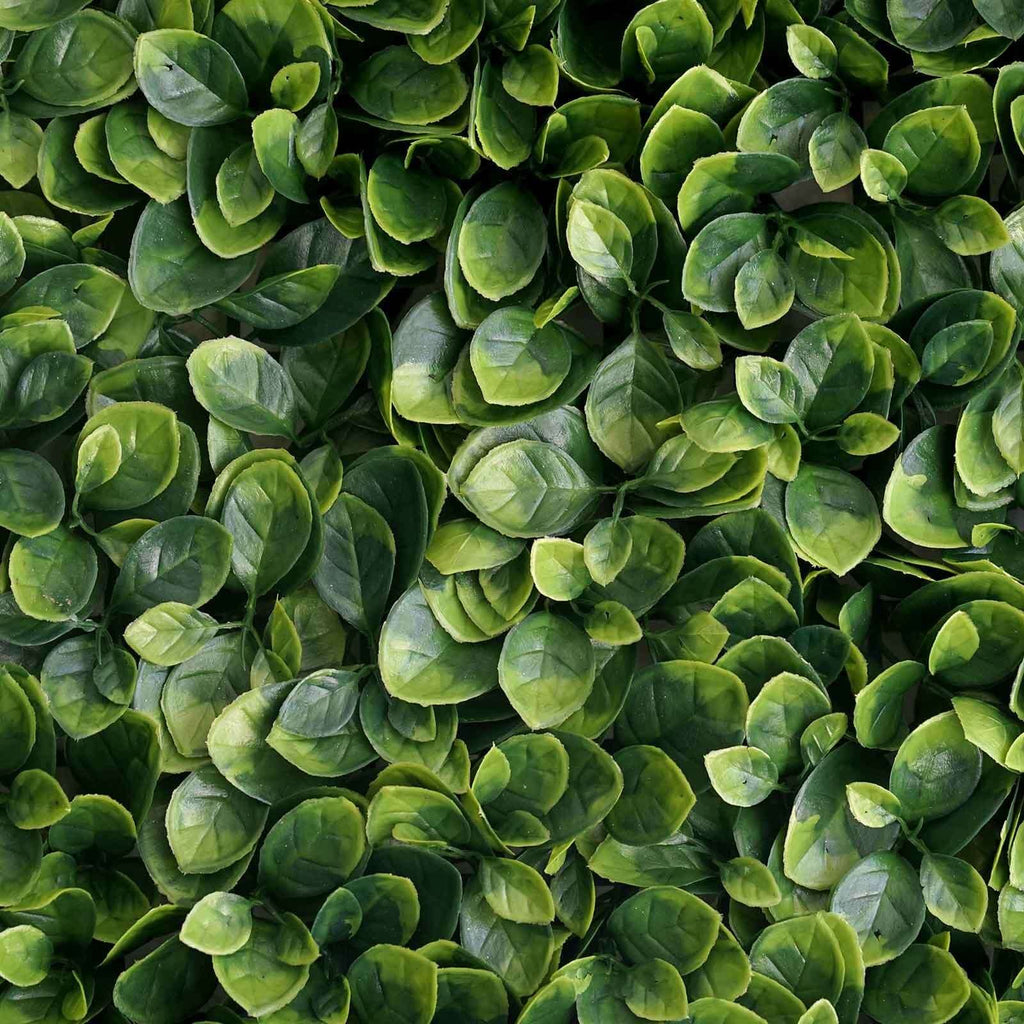 11 Sq ft. Green Boxwood Hedge Garden Wall Backdrop Mat - 4 Artificial Panels